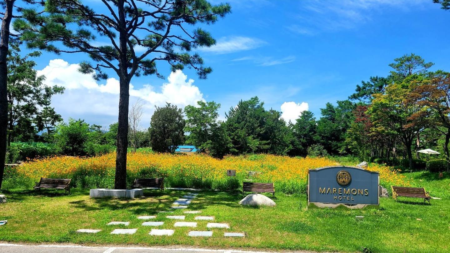 Hotel Maremons Sokcho Exterior photo
